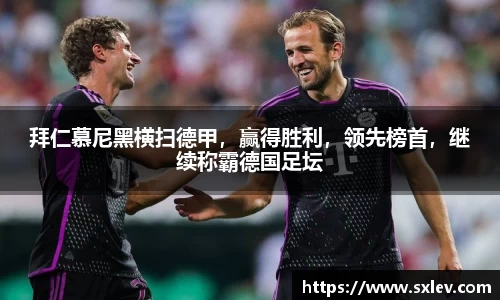 bsports官网登录入口