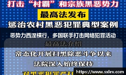 恶势力西涅横行，多国联手打击网络犯罪活动