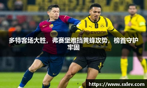 bsports官网入口