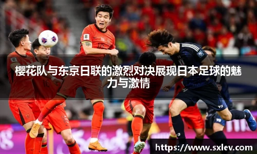 bsports官网入口