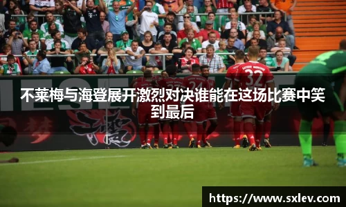 bsports官网登录入口