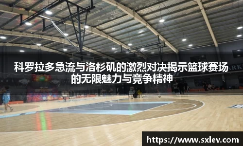 bsports登录入口