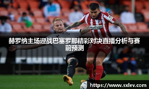 bsports登录入口