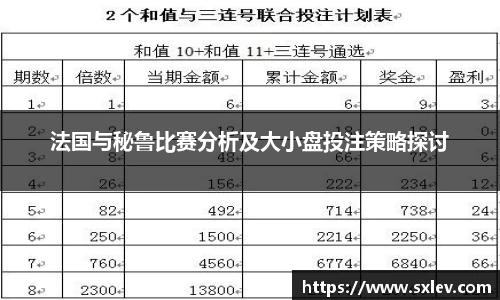 法国与秘鲁比赛分析及大小盘投注策略探讨