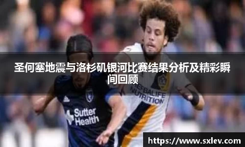 bsports官网登录入口