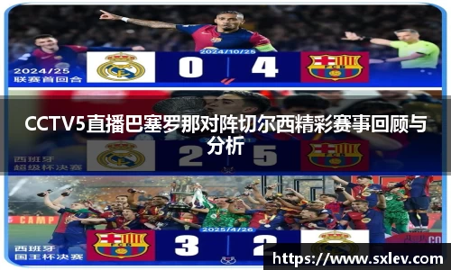 bsports官网登录入口