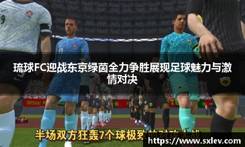 bsports登录入口