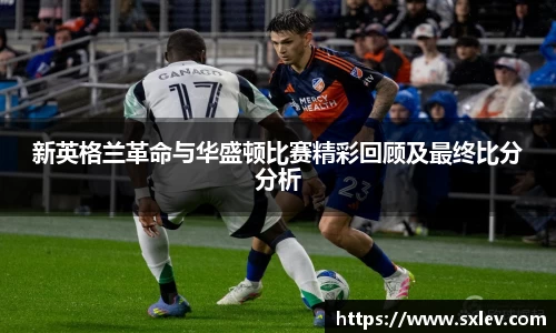 bsports登录入口