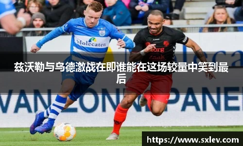 bsports官网登录入口