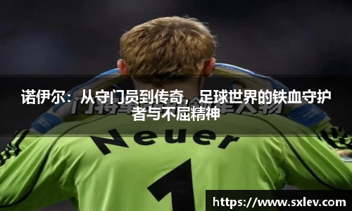 bsports登录入口