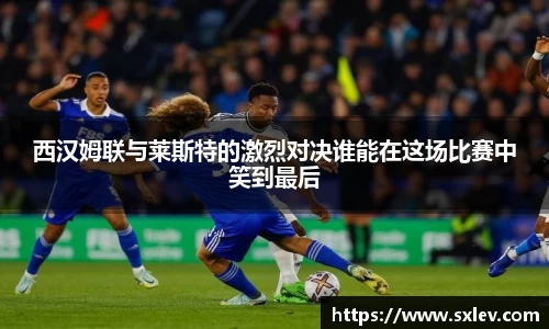 bsports登录入口