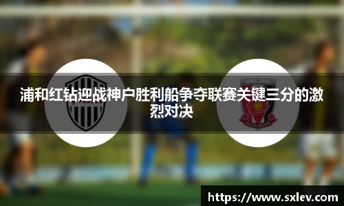 bsports官网登录入口