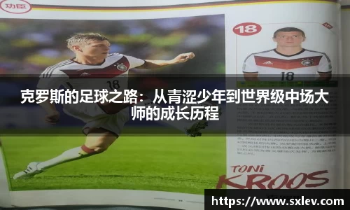 bsports官网入口