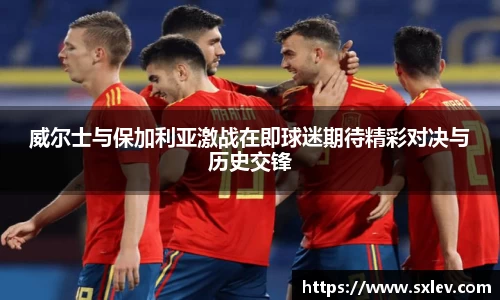 bsports官网登录入口