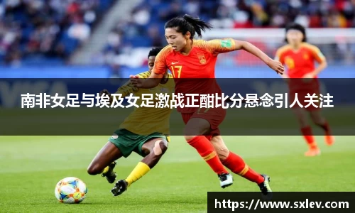 bsports官网入口