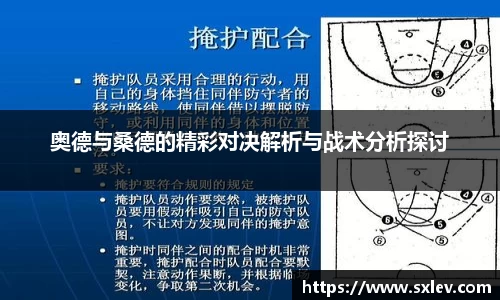 bsports官网登录入口