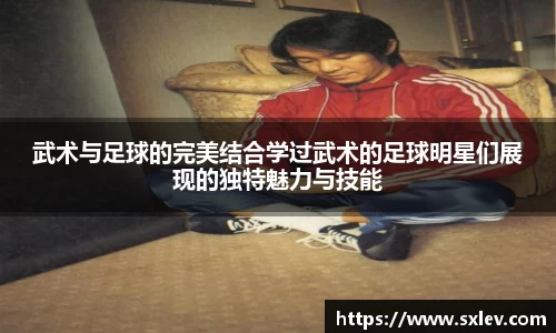 bsports官网入口