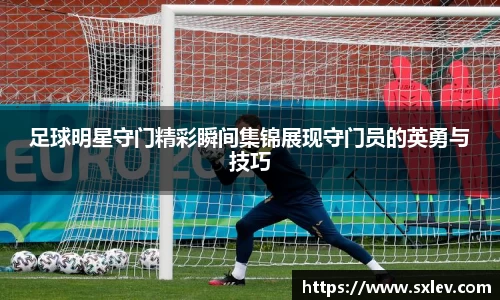 bsports登录入口