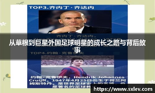 bsports官网登录入口