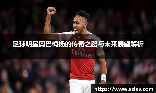 足球明星奥巴梅扬的传奇之路与未来展望解析