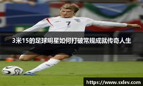 bsports官网登录入口