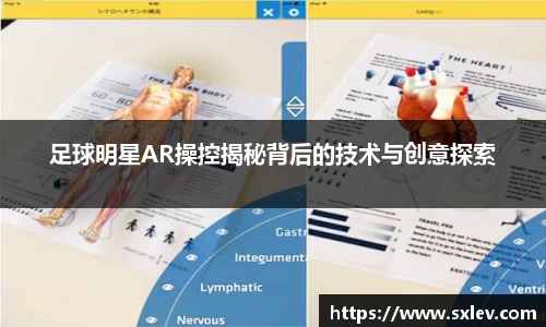 bsports官网登录入口