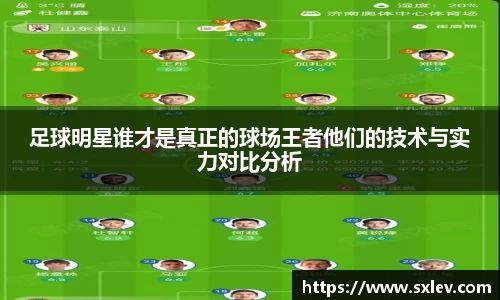 bsports官网入口