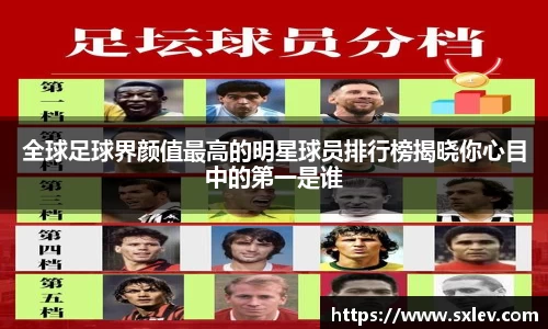 bsports官网登录入口