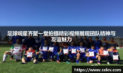 bsports官网登录入口